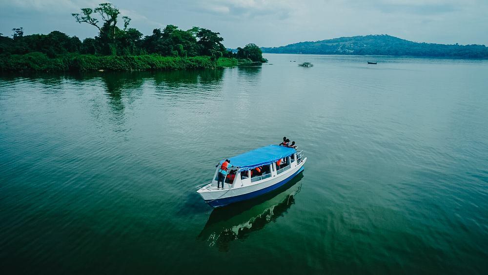 Entebbe-to-Ngamba-santuary