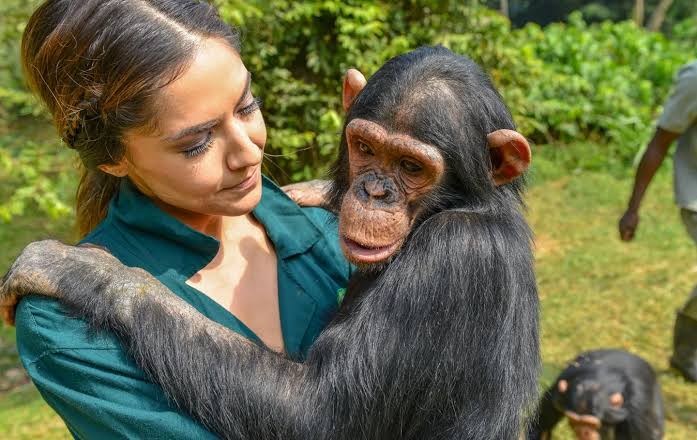 Conservation Tourism
