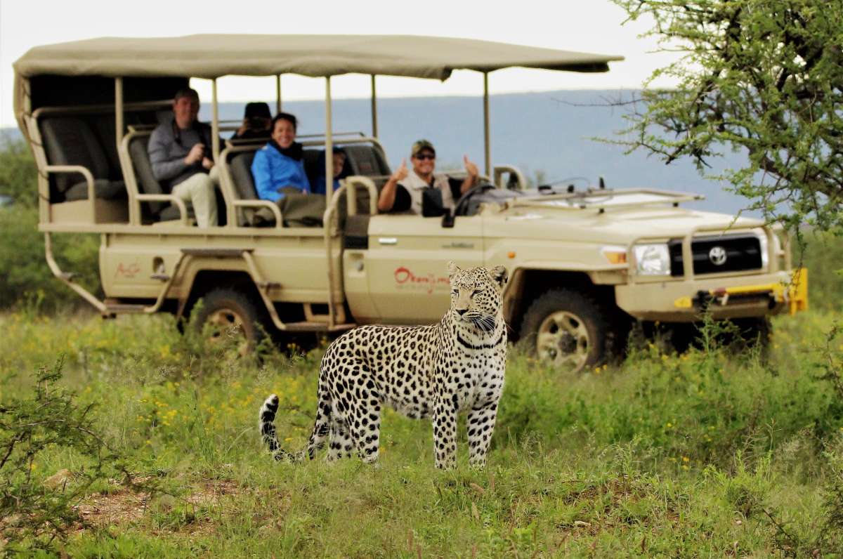 East African safaris Masters 