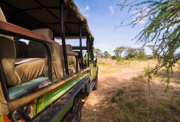 Safari vehicle