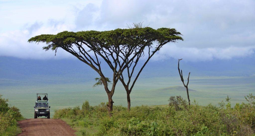Game-Drive-in-Ngorongoro-Tanzania-1024x549-1.jpg