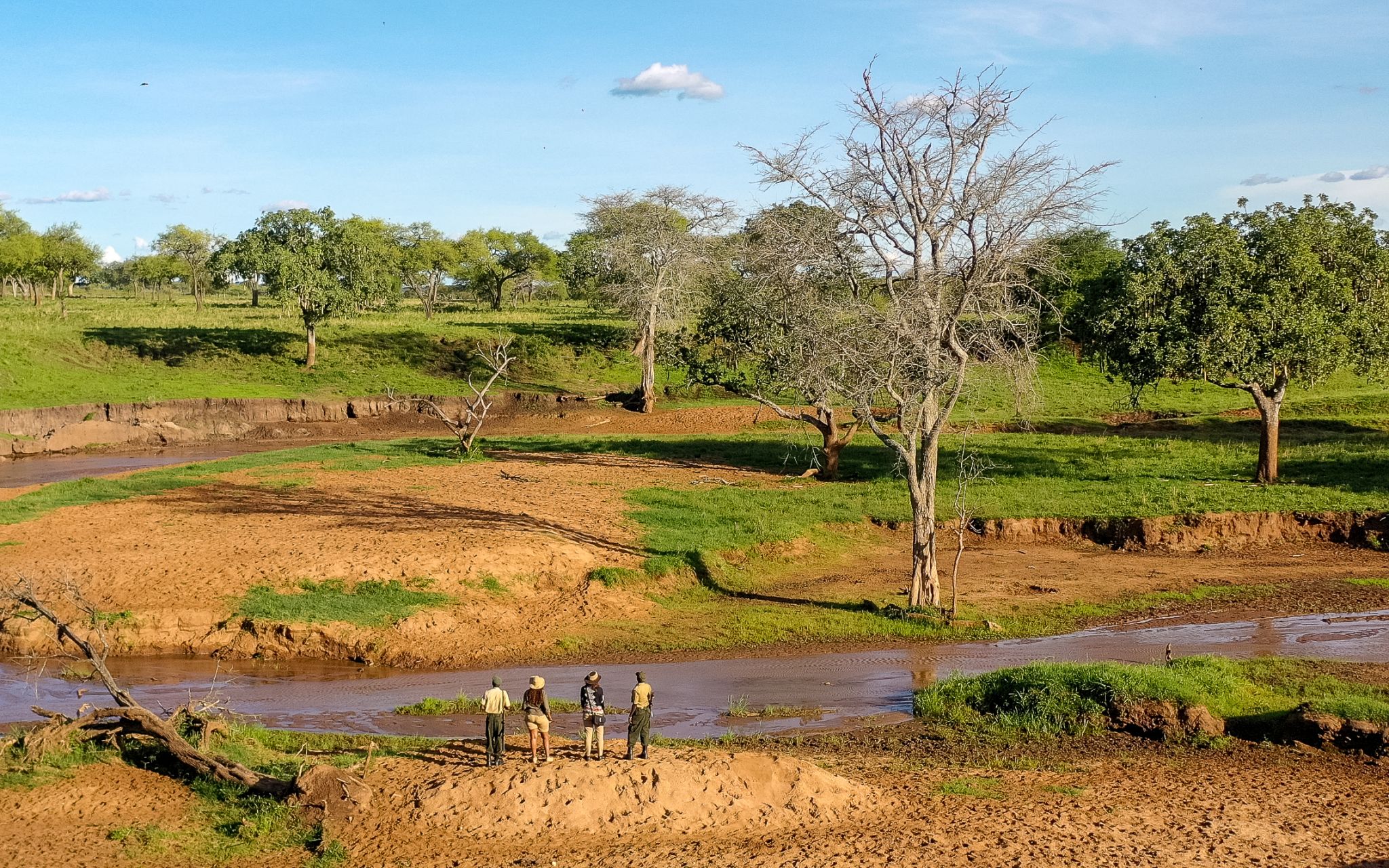 Murchison falls