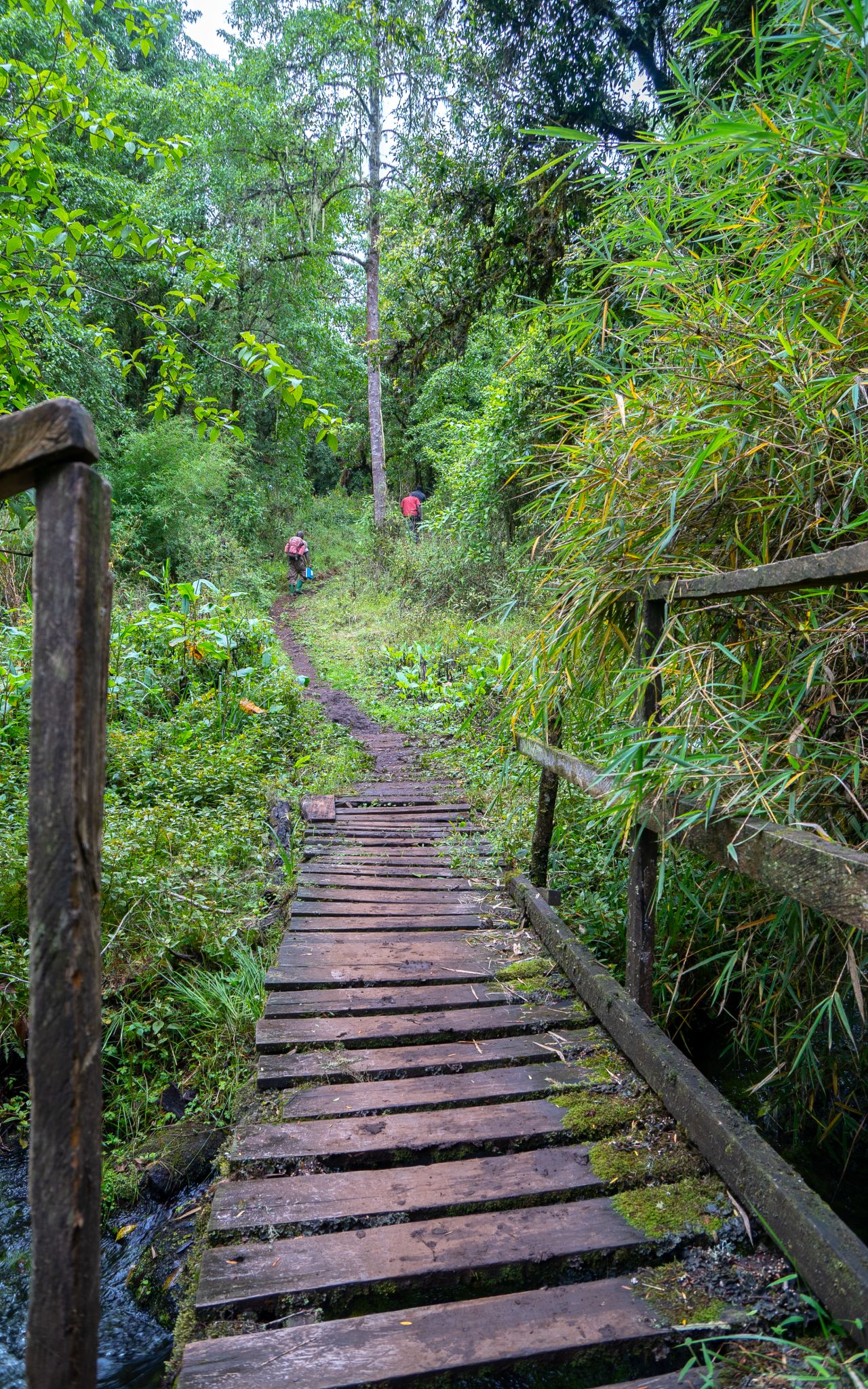 walking Trails
