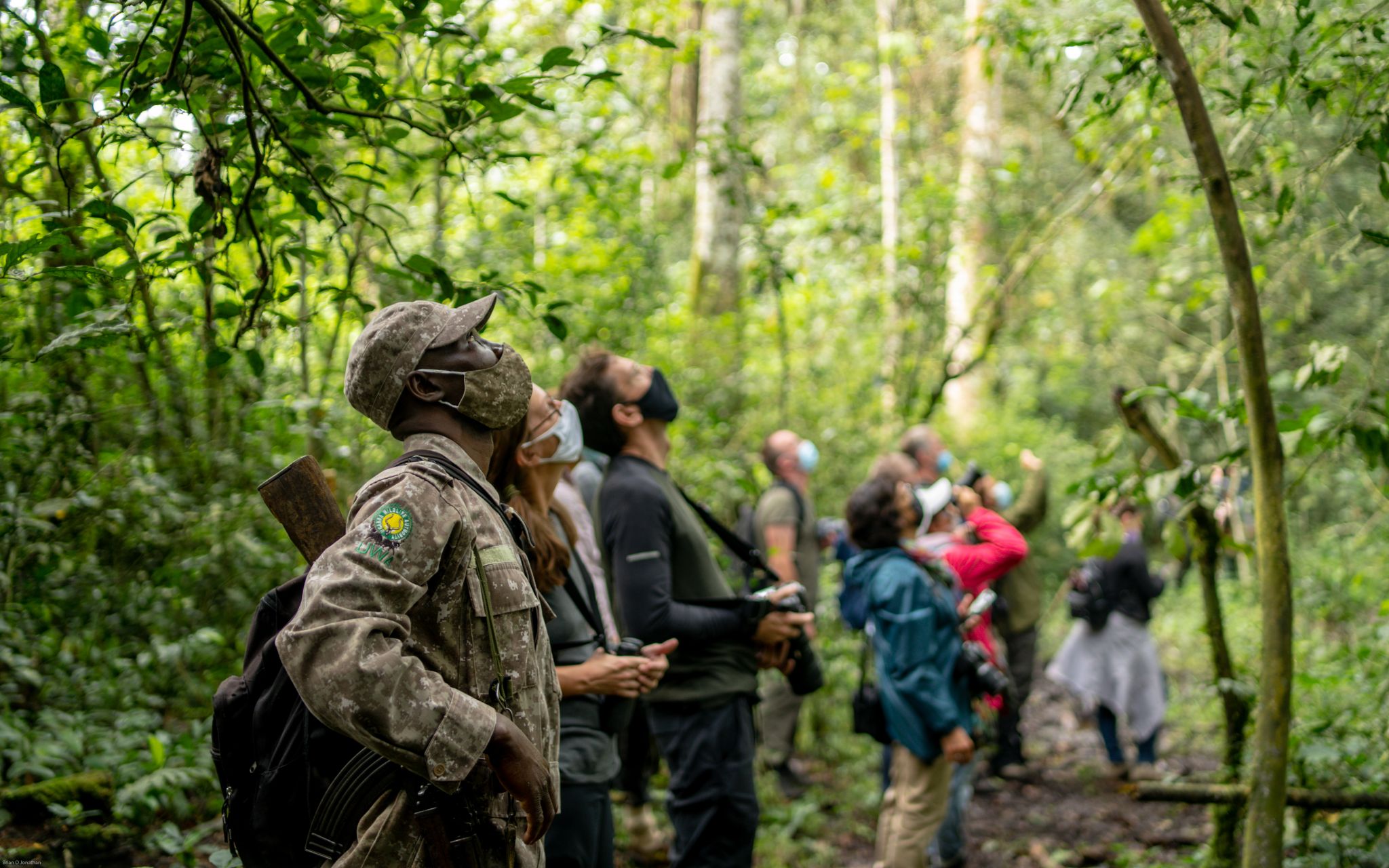 Gorilla Trekking