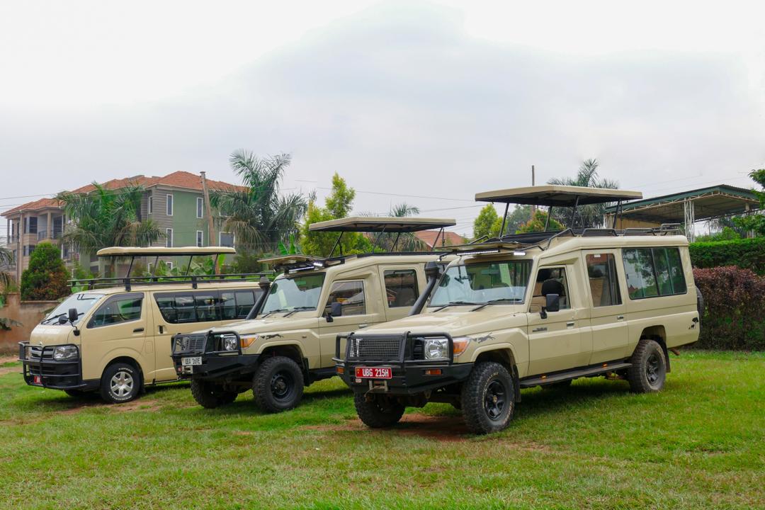 safari vehicles