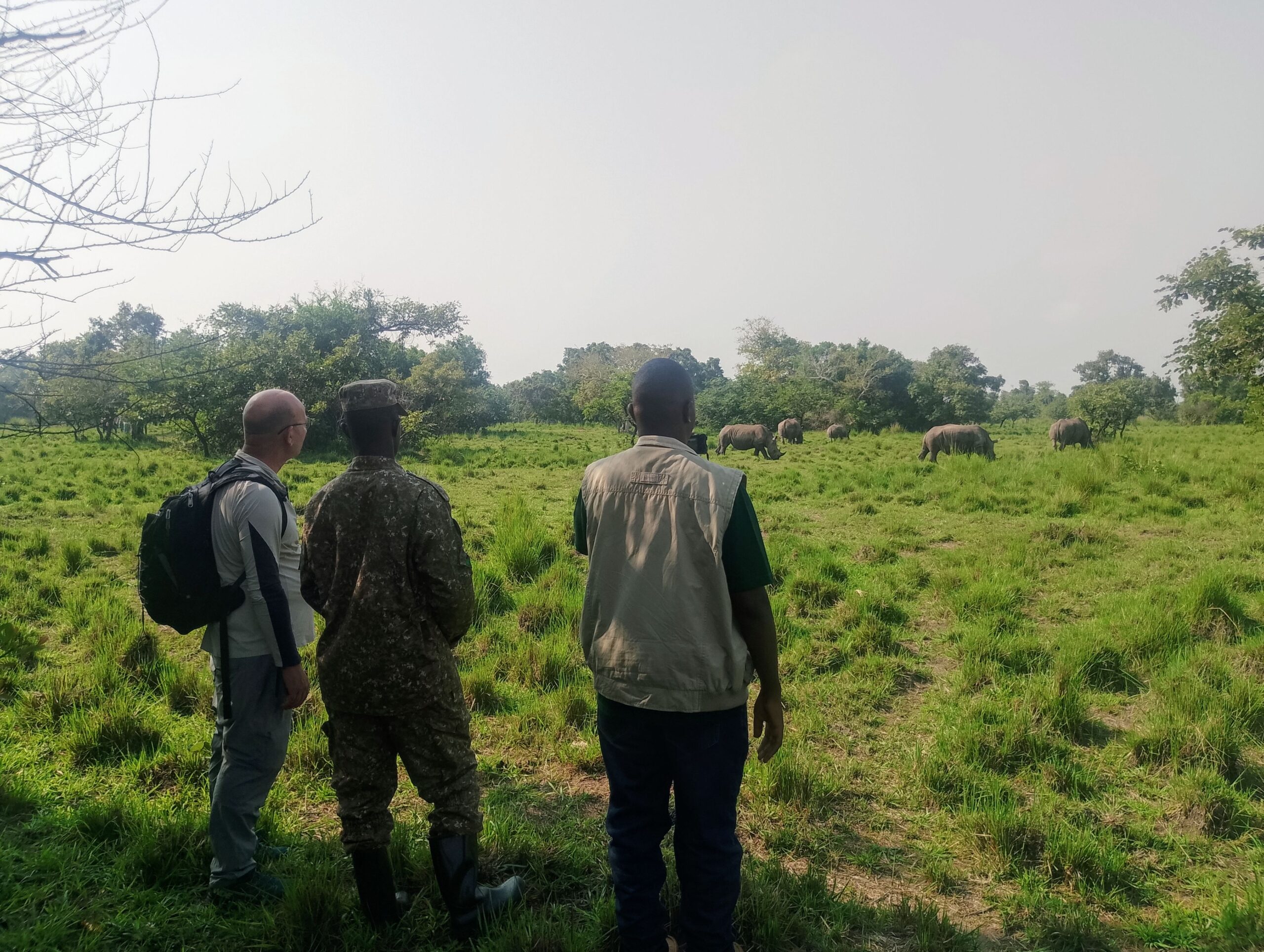 close to the rhinos