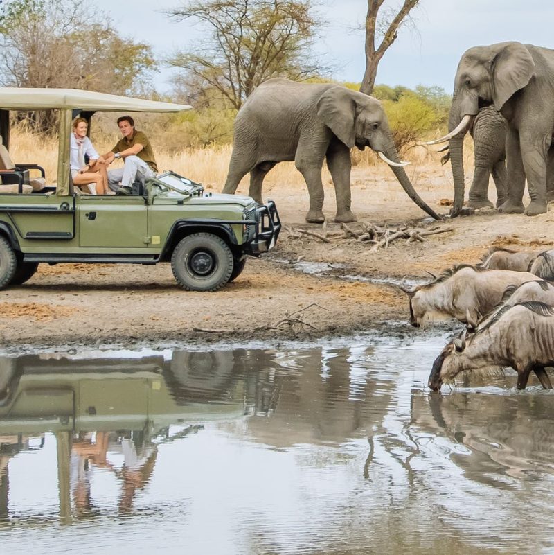 1-lake-manyara-national-park-tanzania-timbuktu-travel-16.jpg